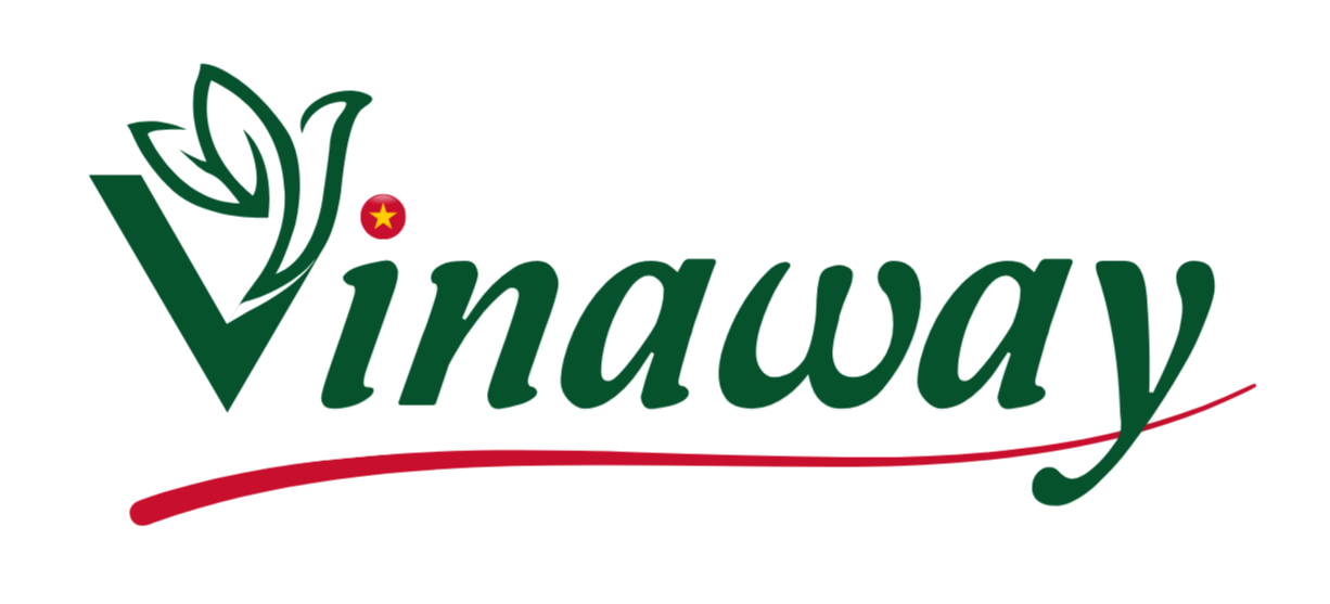 vinawayglobal.com